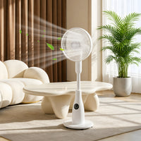2L Misting Spray Pedestal Fan with Remote Control