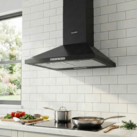 3-Speed 60cm Wall Mounted Chimney Cooker Range Hood With LED Light