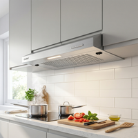 60cm Stainless Steel Under Cabinet Mount Range Hood with 3-Speed Modes
