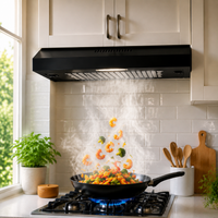 Black 60cm Under Cabinet Wall-Mount Cooker Range Hood with 3-Speed Modes