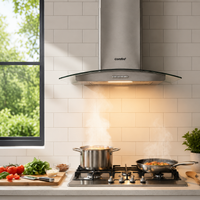 60cm Chimney Cooker Range Hood Kitchen Extractor with 3-Speed Modes