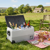 36L Portable Car Compressor Refrigerator for Camping Road Trip